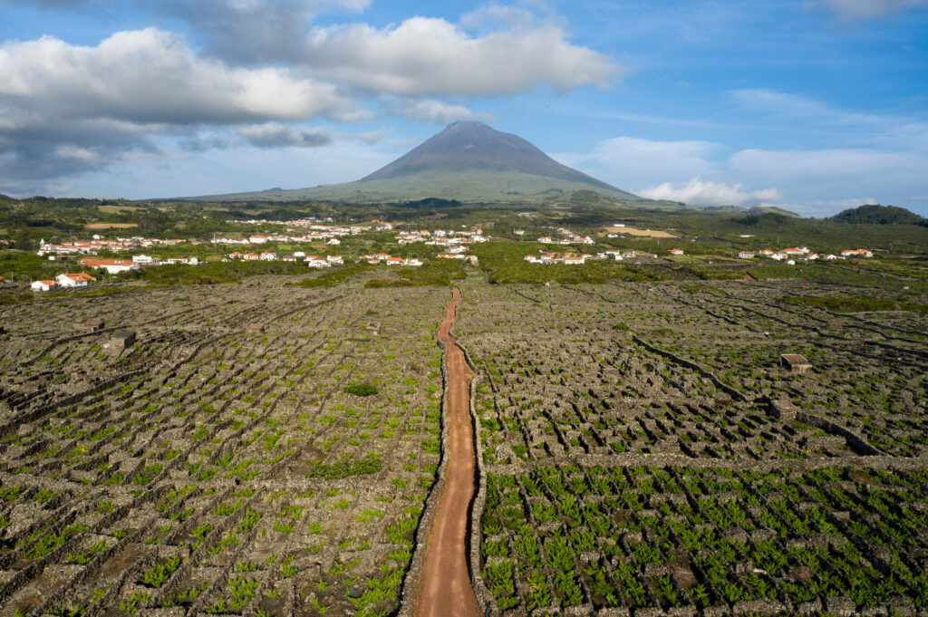 Pico